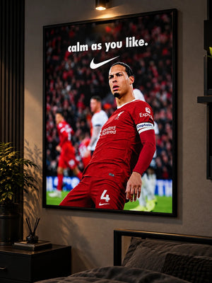 Virgil van Dijk